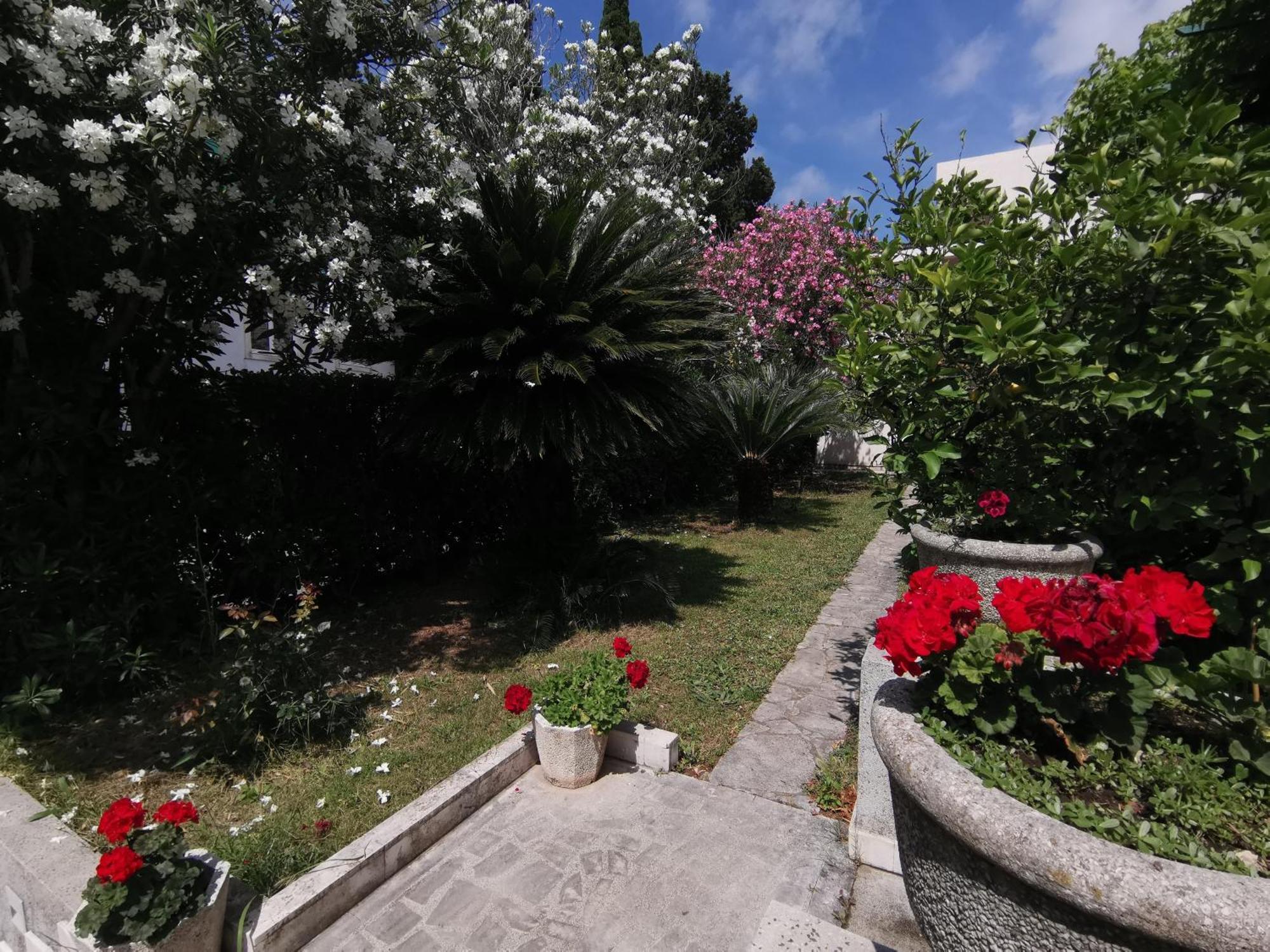 Apartments Maris Garden Petrovac Εξωτερικό φωτογραφία