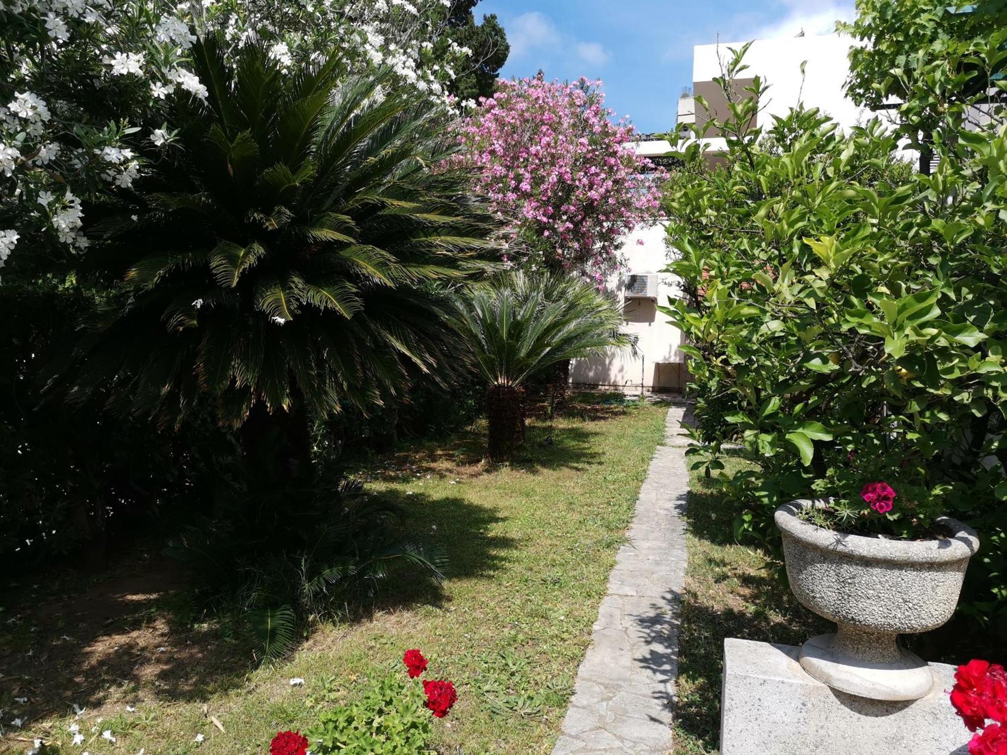 Apartments Maris Garden Petrovac Εξωτερικό φωτογραφία